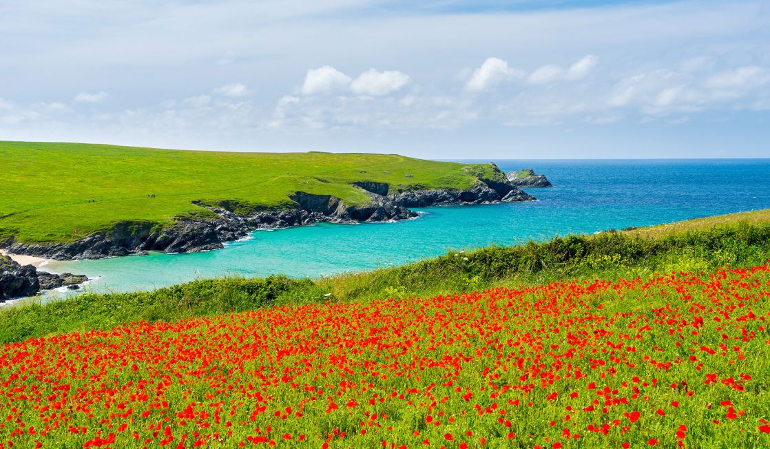 Cornwall10