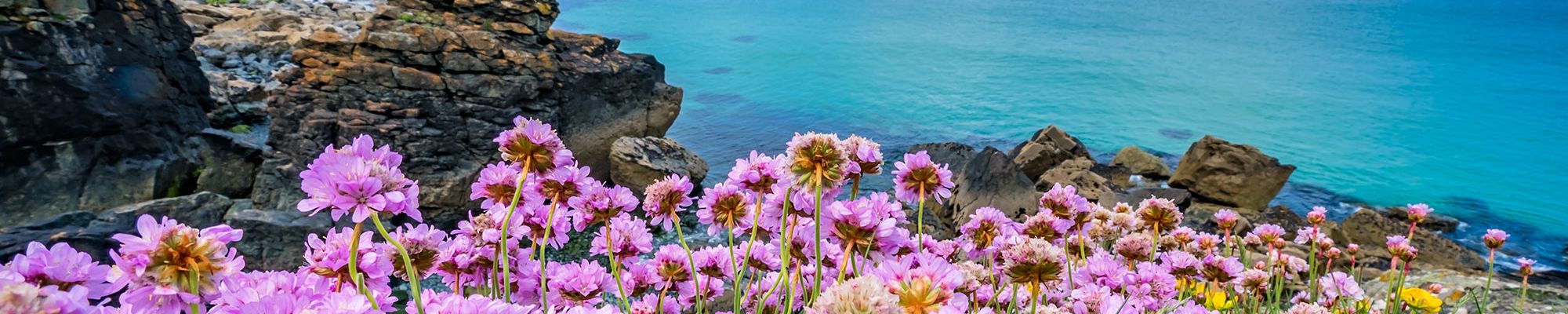 Cornwall15