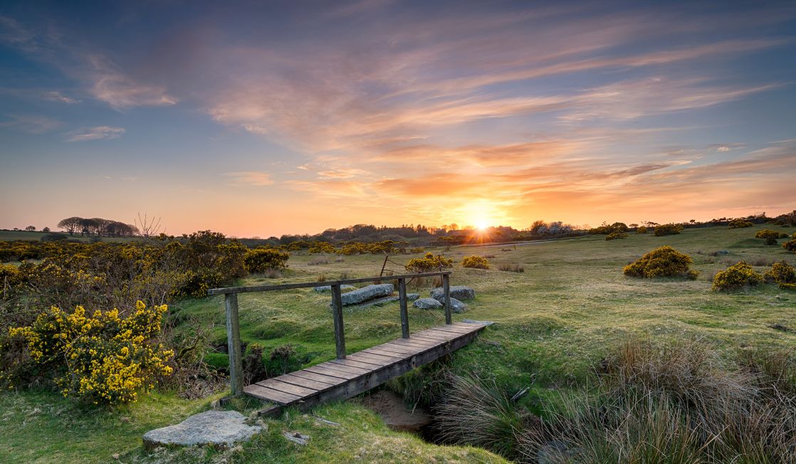 Cornwall6