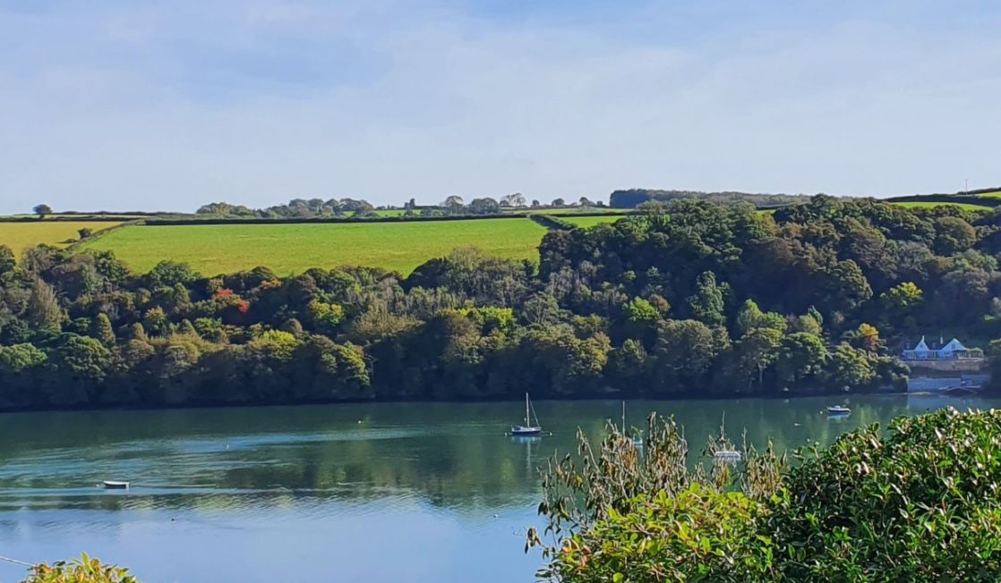 Golant wyw e1639129979749