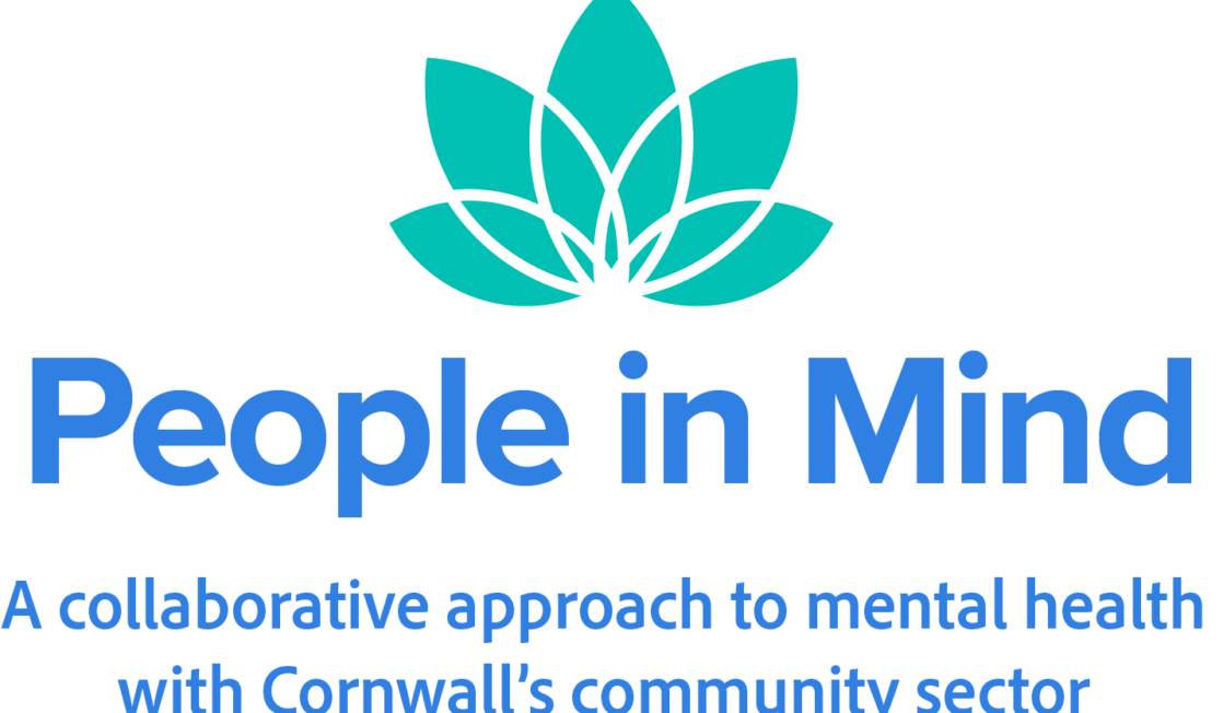 PiM Coloured logo + Text